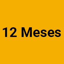 12 meses psplus