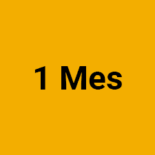 1 mes psplus